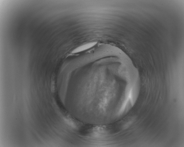 X0000066950080200604142100