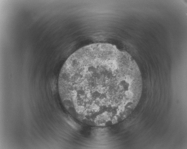 X0000066950081200604142100