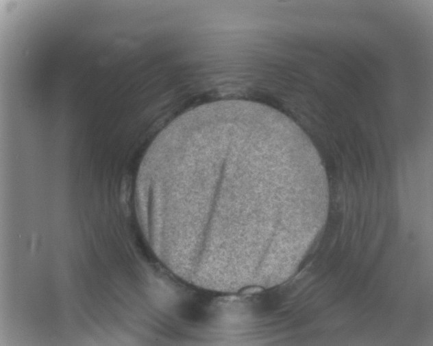 X0000066950082200604142100