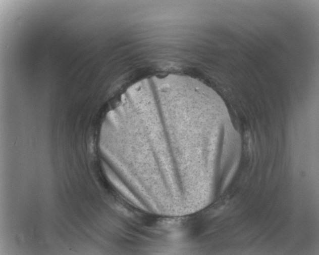 X0000066950084200604142100