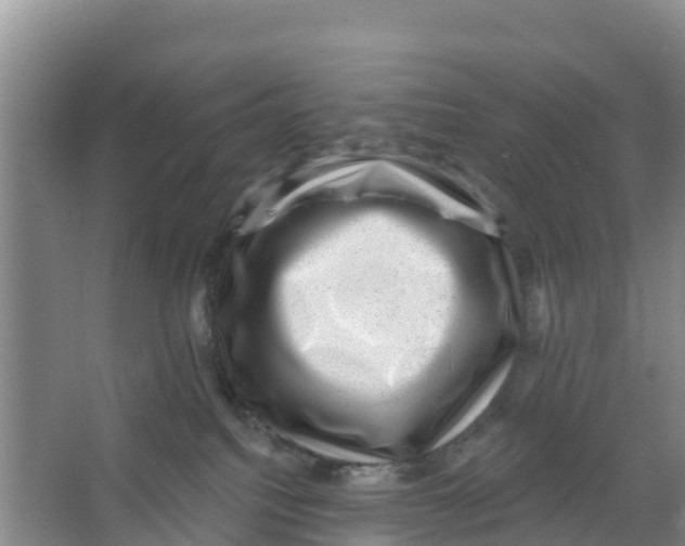 X0000066950088200604142100