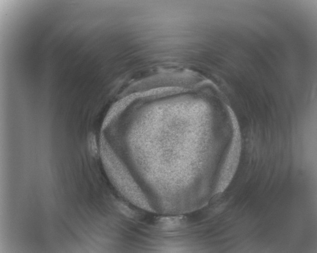 X0000066950089200604142100