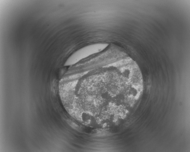 X0000066950093200604142100