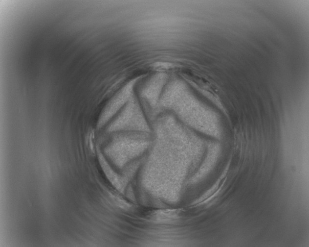 X0000066950094200604142100