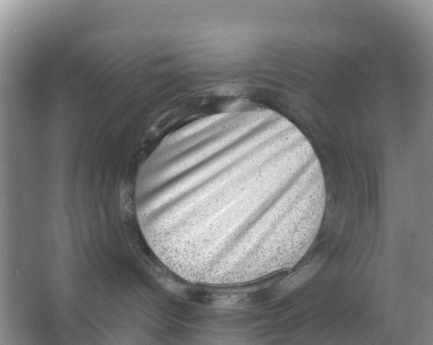 X0000066950096200604142100