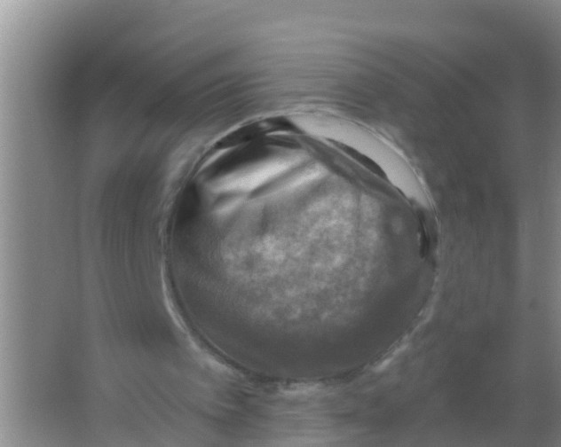 X0000066950097200604142100