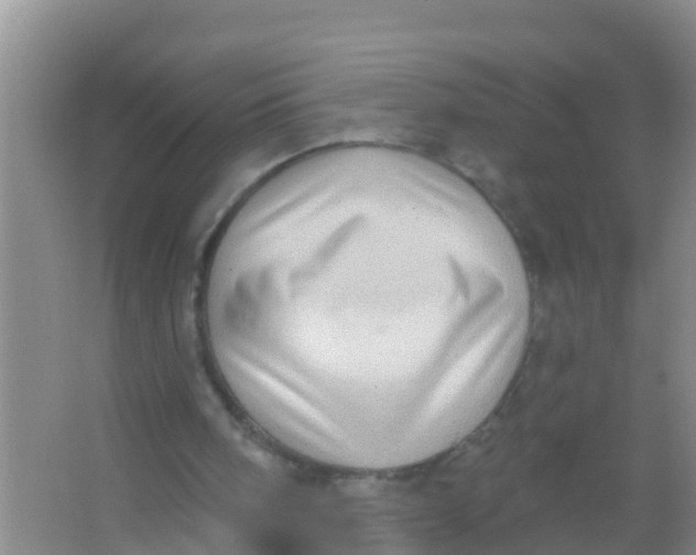 X0000066950098200604142100