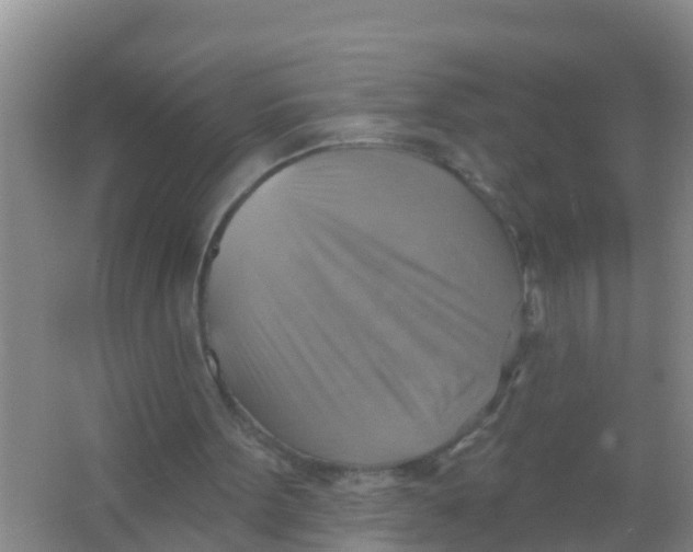 X0000066950099200604142100