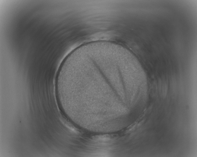 X0000066950100200604142100