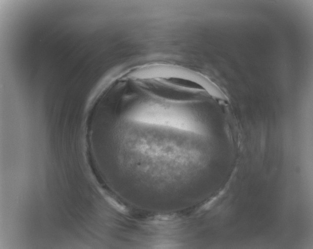 X0000066950101200604142100