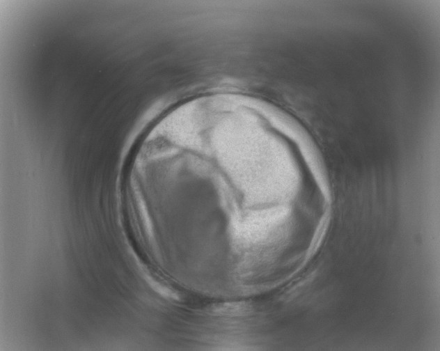 X0000066950102200604142100