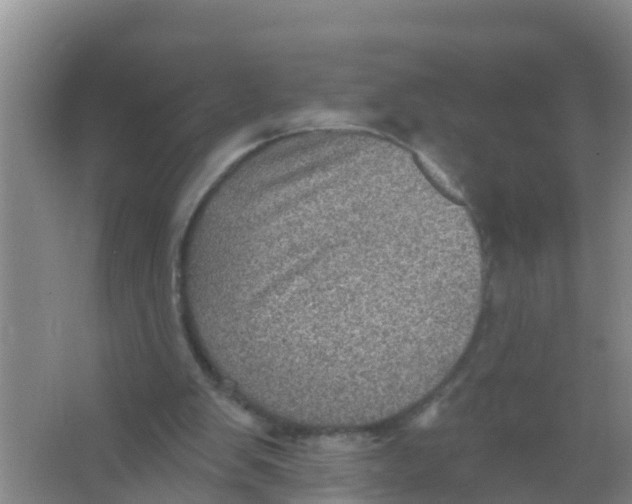 X0000066950103200604142059