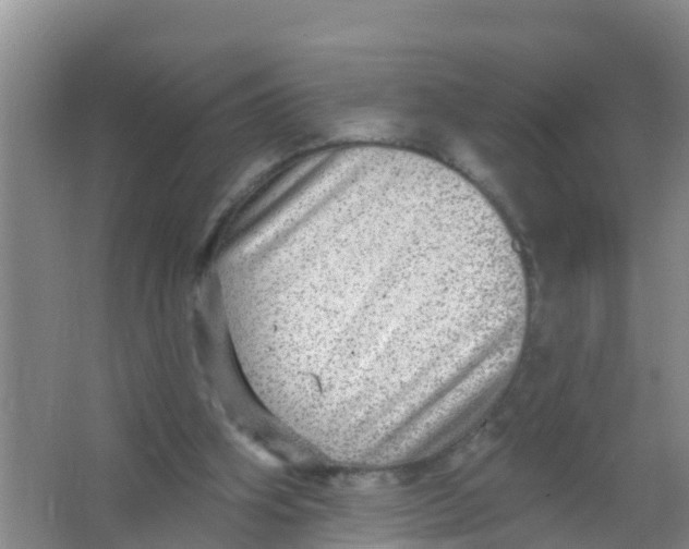 X0000066950106200604142059