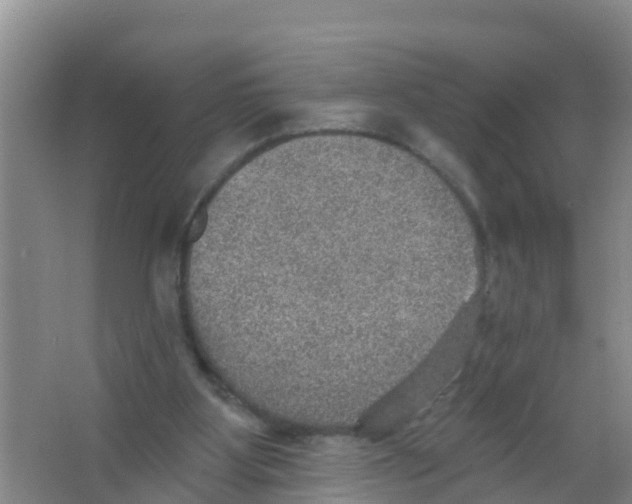 X0000066950107200604142059