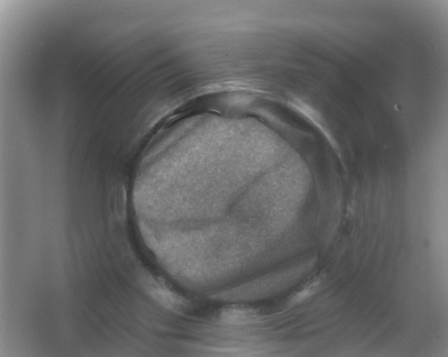 X0000066950109200604142059