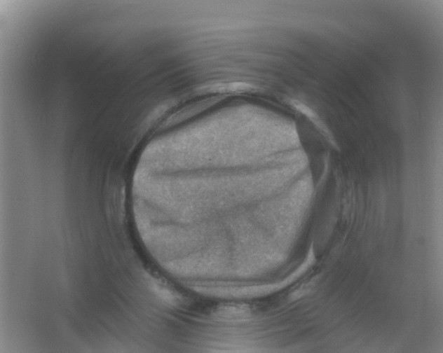 X0000066950110200604142059