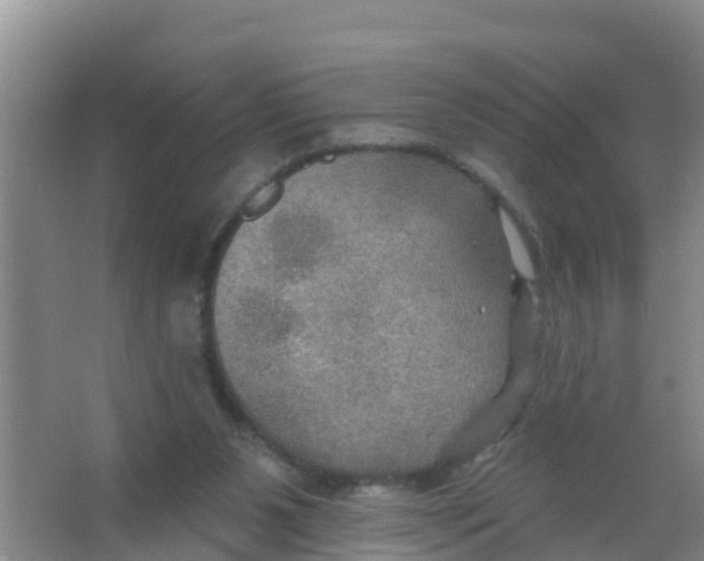 X0000066950111200604142059