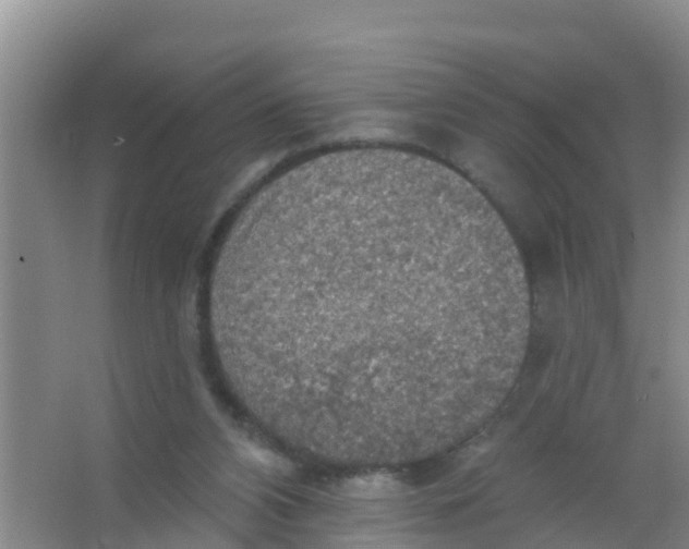 X0000066950112200604142059