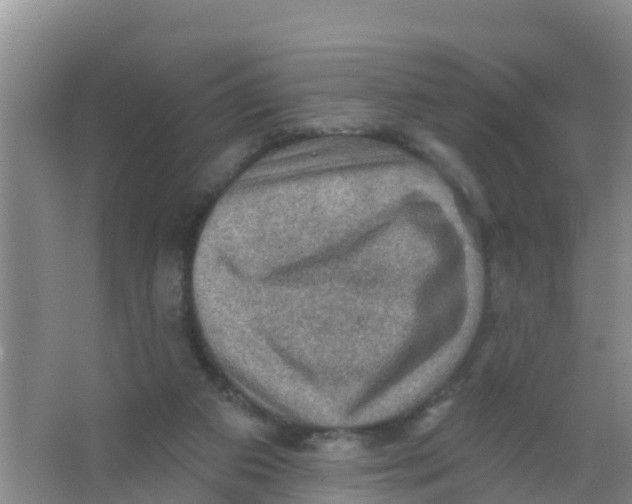 X0000066950113200604142059