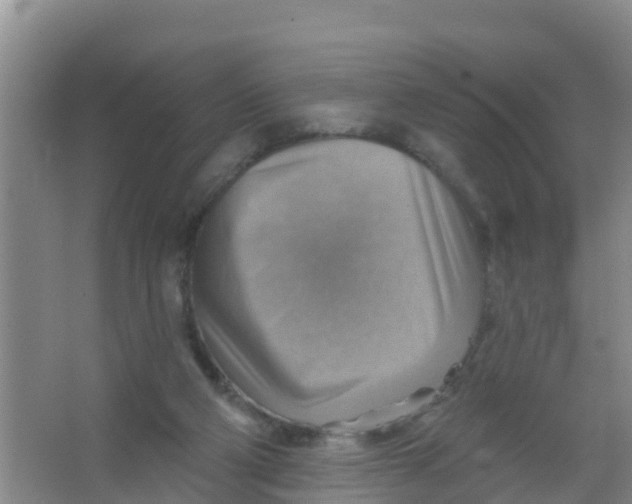 X0000066950114200604142059