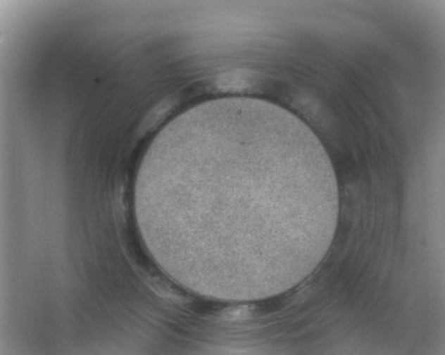 X0000066950116200604142059