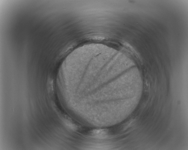 X0000066950117200604142059