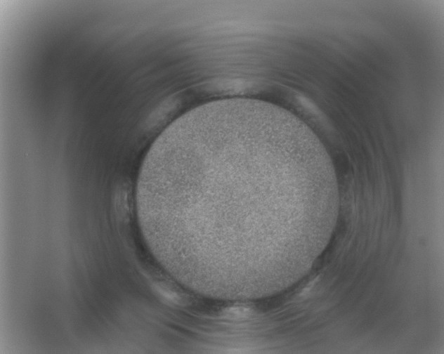 X0000066950119200604142059