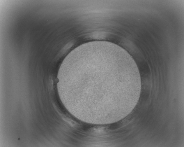 X0000066950120200604142059