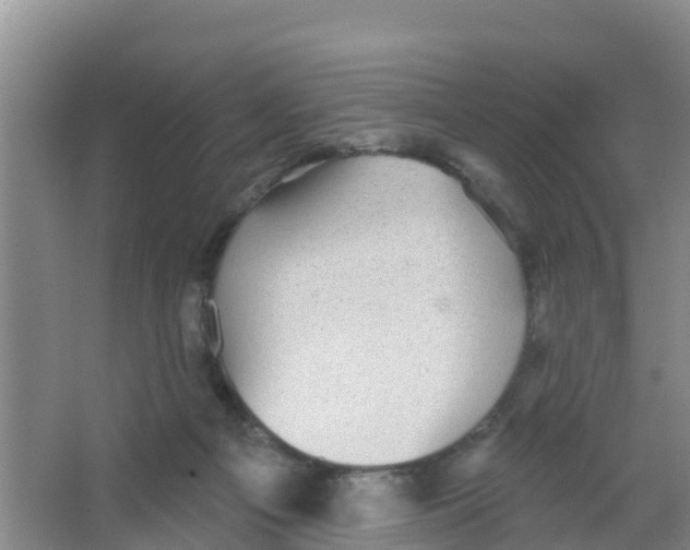 X0000066950121200604142059