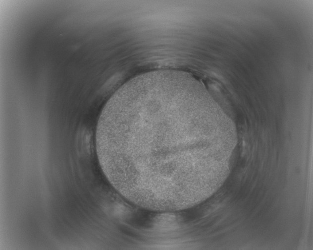 X0000066950123200604142059