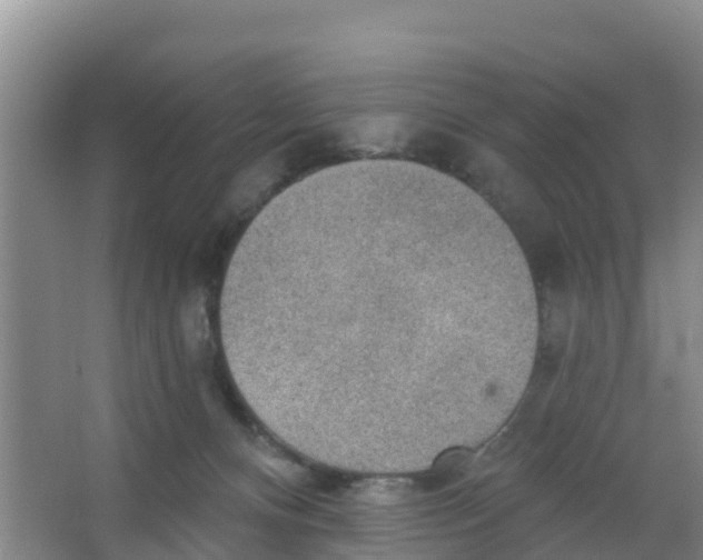 X0000066950128200604142059