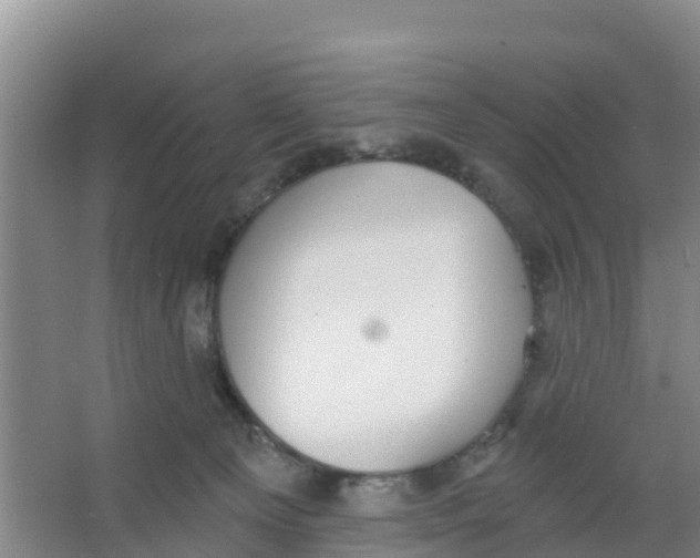 X0000066950129200604142059