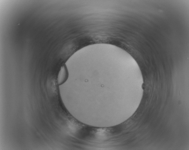 X0000066950130200604142059