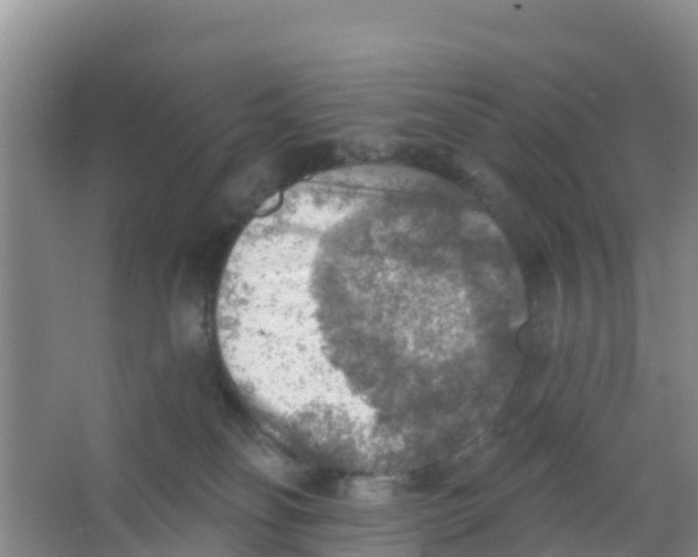 X0000066950134200604142059