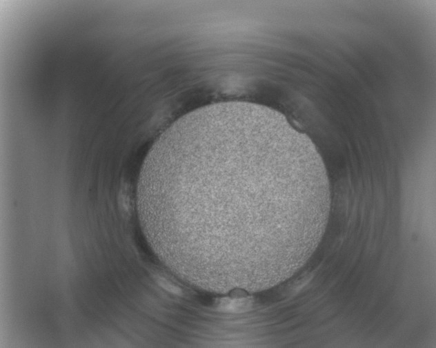 X0000066950135200604142059