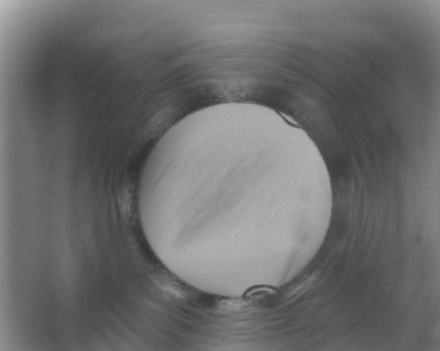 X0000066950139200604142059