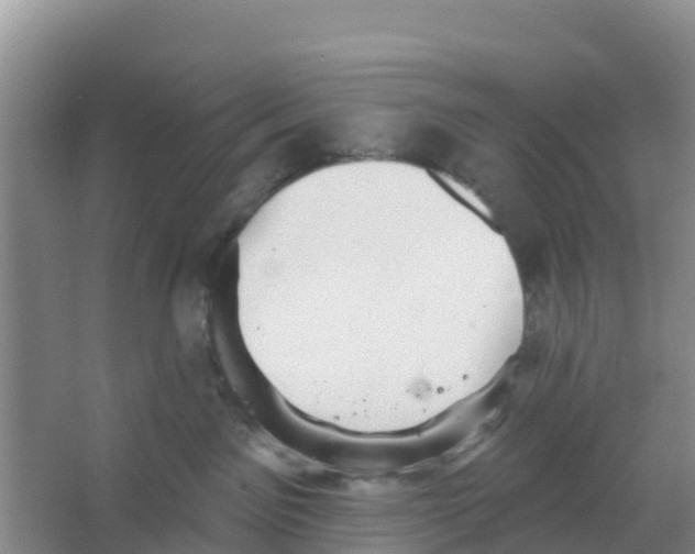 X0000066950141200604142059