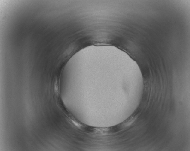 X0000066950143200604142059