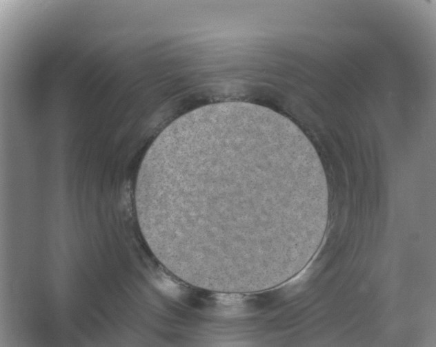 X0000066950144200604142059