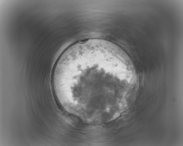 X0000066950147200604142058