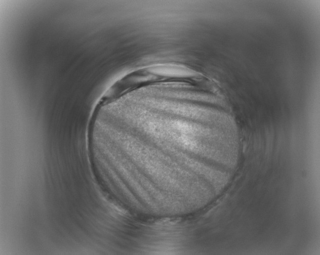 X0000066950148200604142058