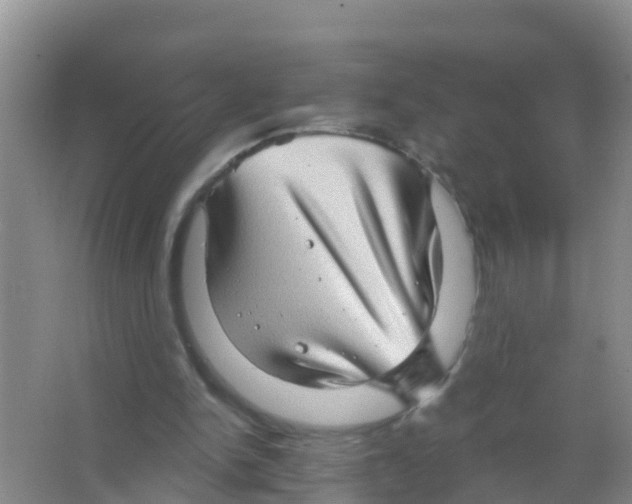 X0000066950150200604142058