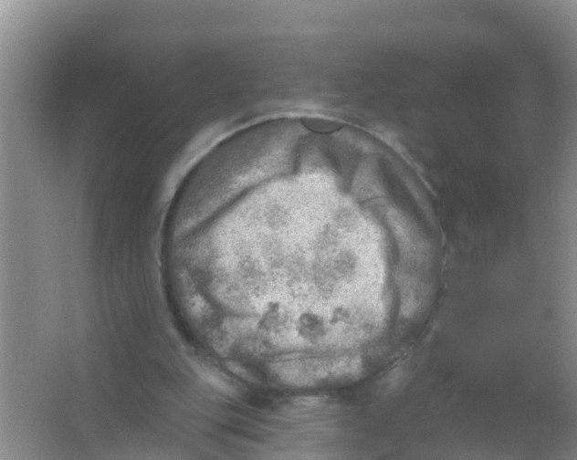 X0000066950151200604142058