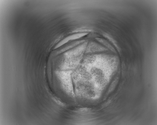 X0000066950153200604142058