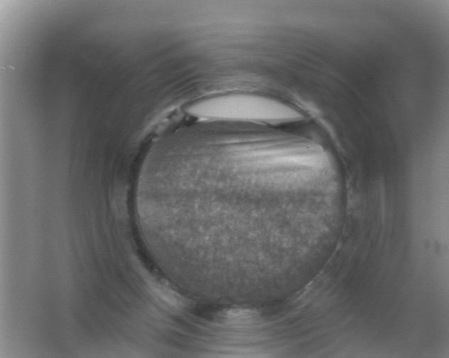 X0000066950154200604142058