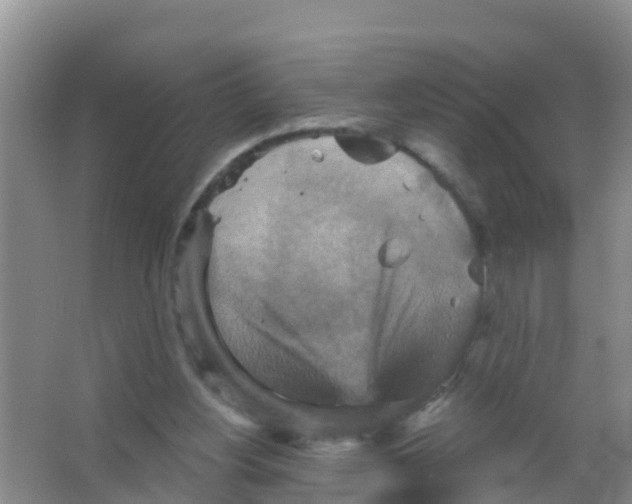 X0000066950156200604142058