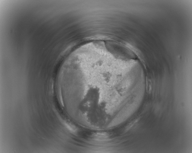 X0000066950157200604142058