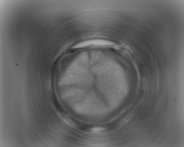 X0000066950158200604142058