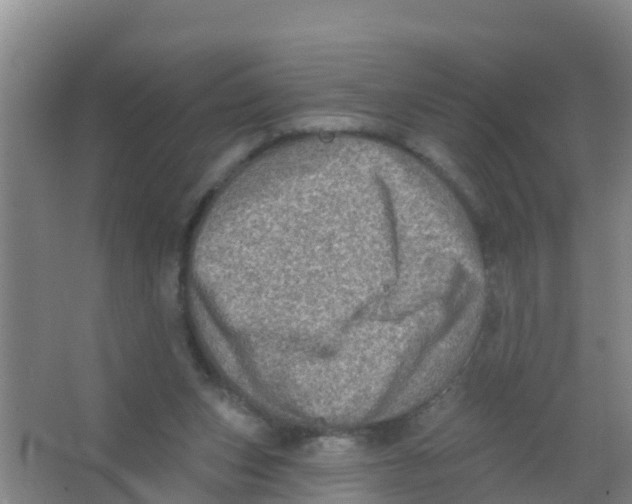 X0000066950159200604142058