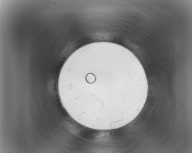 X0000066950162200604142058